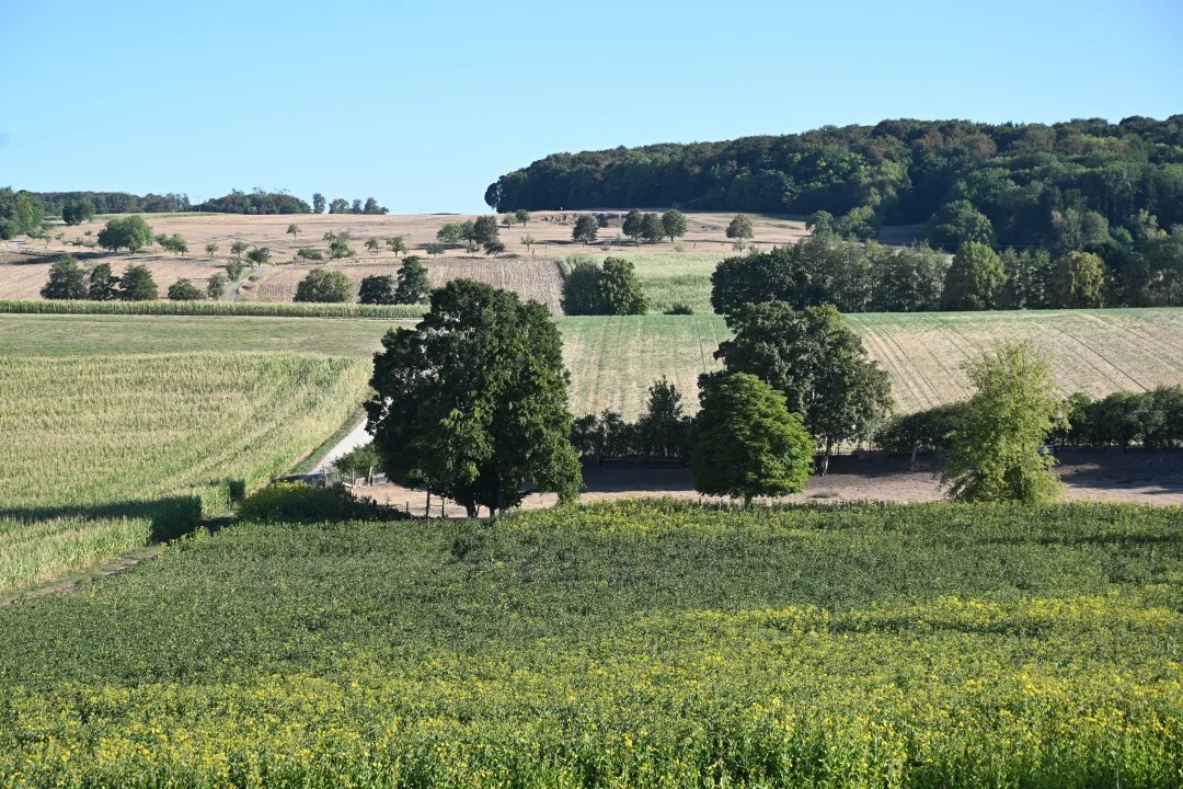 2026-08-13-oettingen-eichhoernchen1-7
