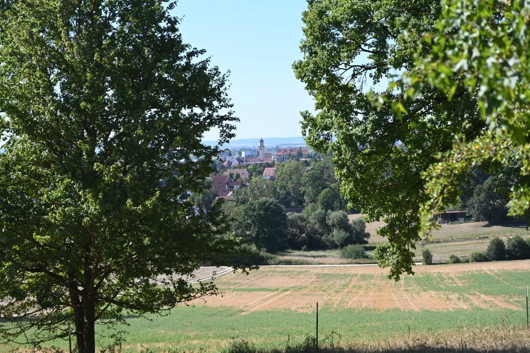 2026-08-13-oettingen-eichhoernchen1-89