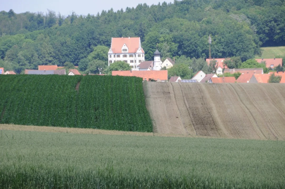 2010-07-07-oettingen-eichhoernchen2-5