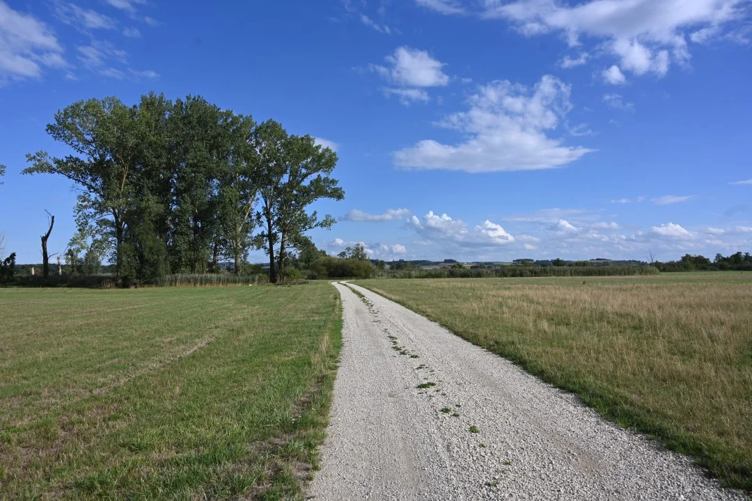 2026-08-22-oettingen-eichhoernchen2-101