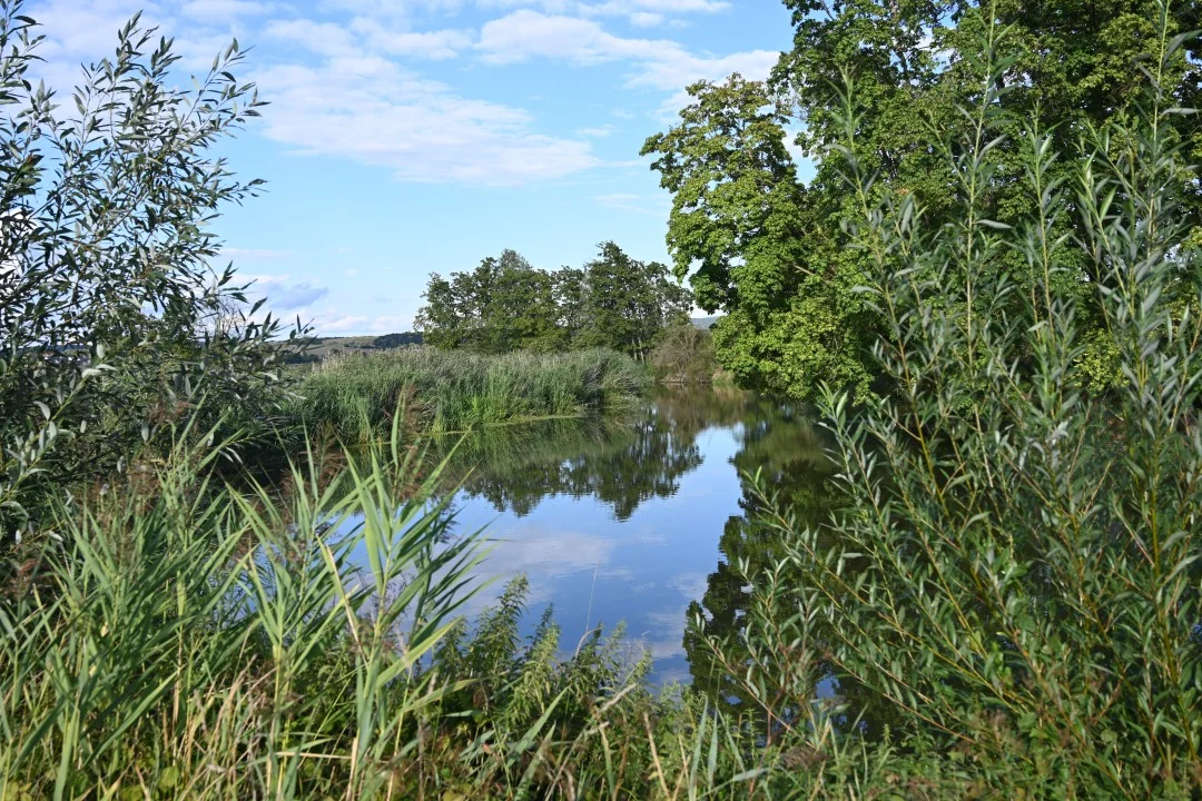 2026-08-22-oettingen-eichhoernchen2-116