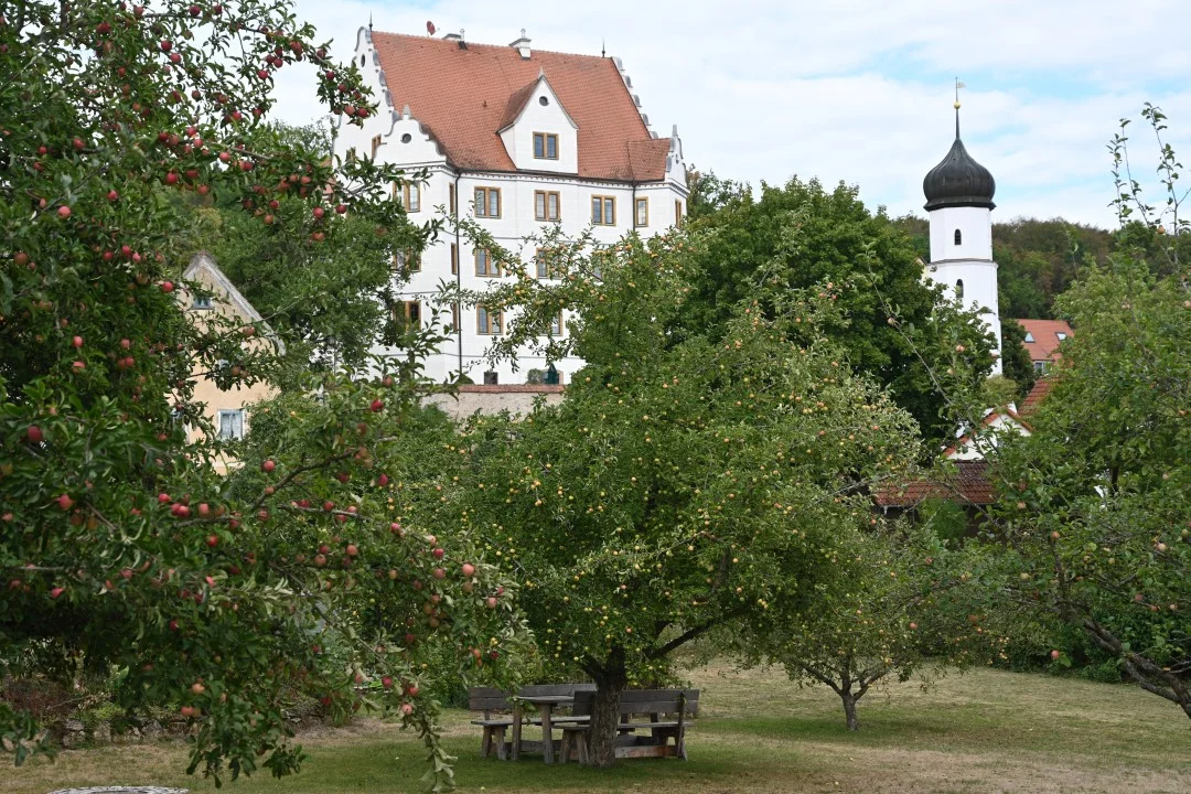 2026-08-22-oettingen-eichhoernchen2-34