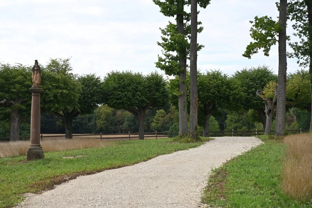 2026-08-22-oettingen-eichhoernchen2-56