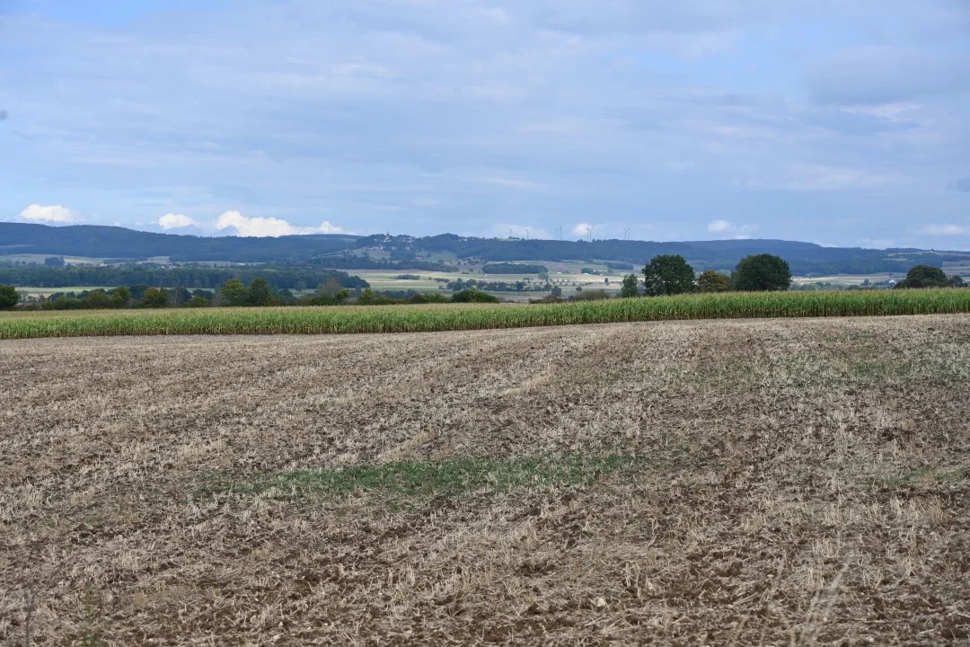 2026-08-22-oettingen-eichhoernchen2-7