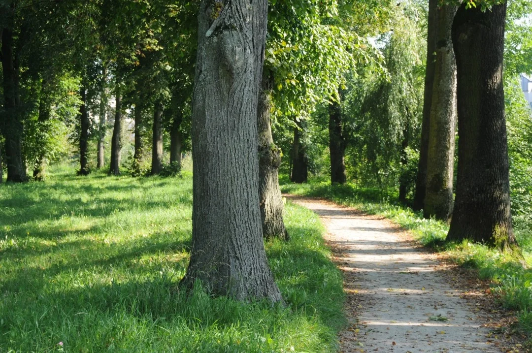 wandern-donau-ries