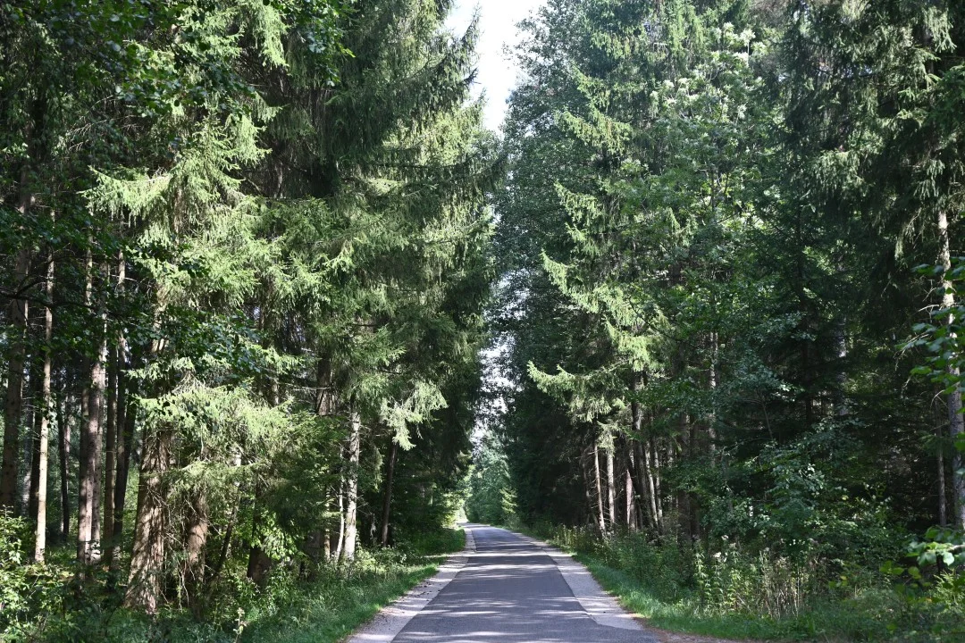 2026-09-19-wemding-monheimerAlb20-13