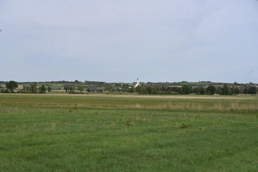 2026-09-19-wemding-monheimerAlb20-30