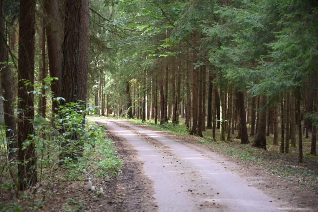 2026-09-19-wemding-monheimerAlb20-34