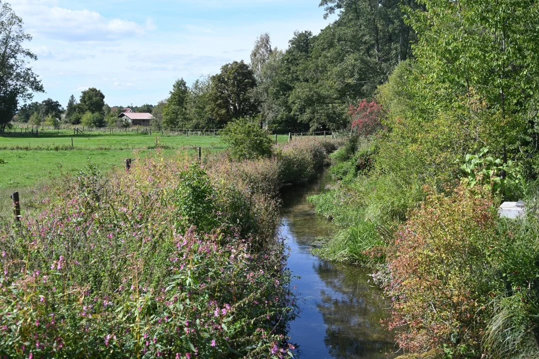 2026-09-19-wemding-monheimerAlb20-5