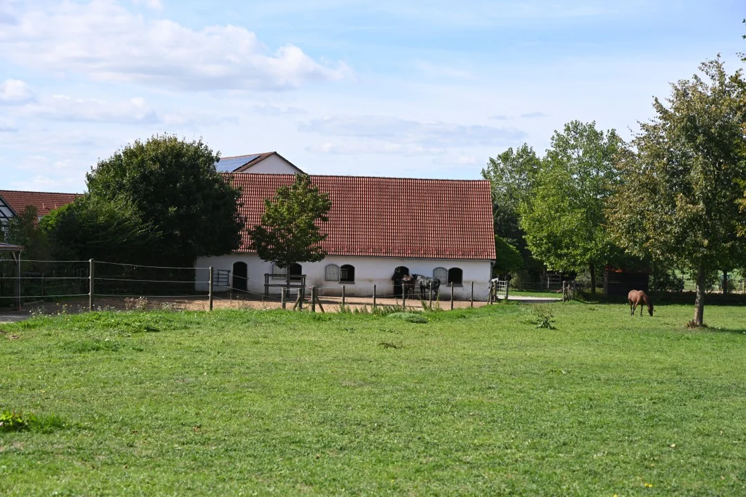 2026-09-19-wemding-monheimerAlb20-6