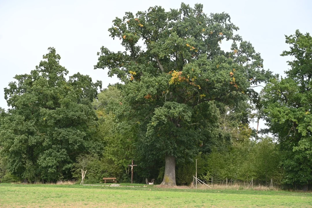2026-09-19-wemding-monheimerAlb20-67