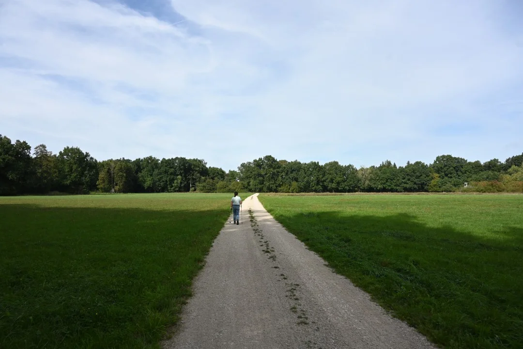 2026-09-19-wemding-monheimerAlb20-79-rosi