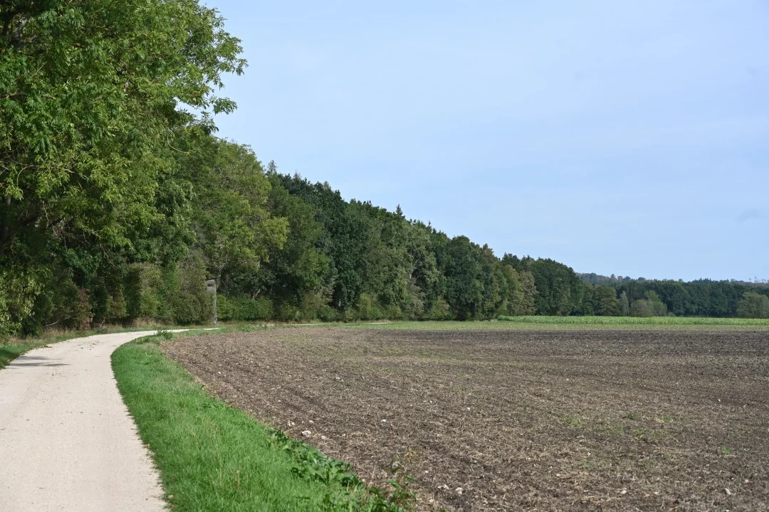 2026-09-19-wemding-monheimerAlb20-93