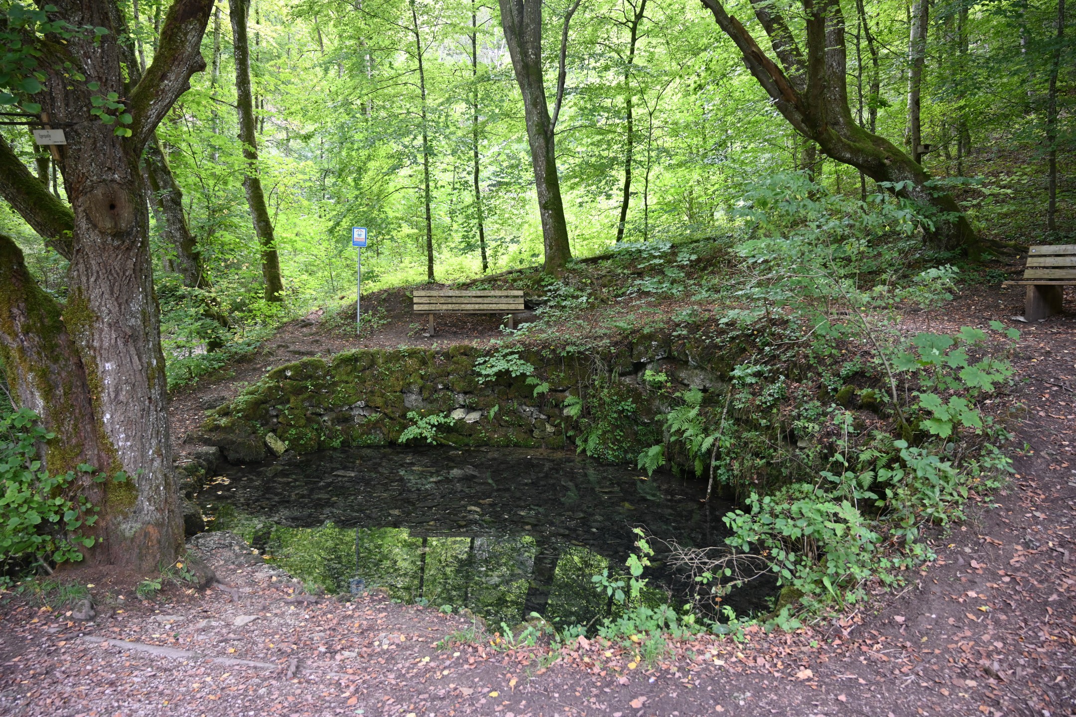 Rieser Mühlenweg Egerquelle Quellbecken